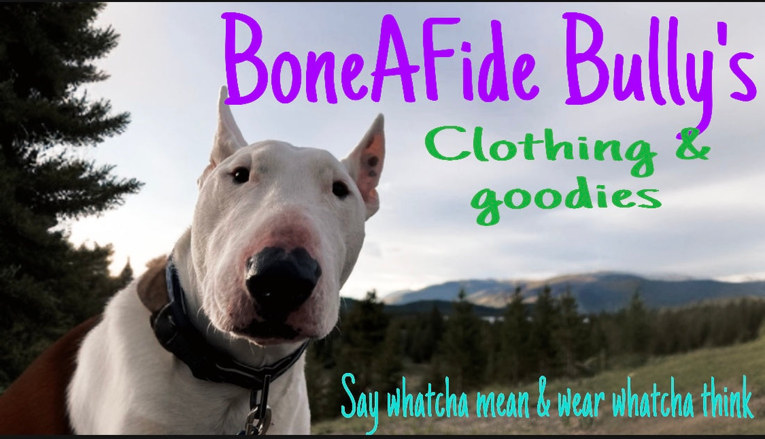 BoneAfide Bully’s clothing &amp; goodies gift card